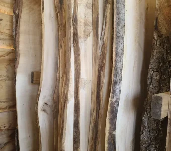 live-edge-wood-slabs-where-to-buy-near-me-madison-portage-wisconsin